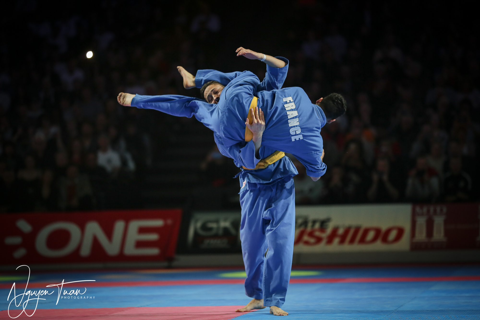 20190324 Festival des Arts Martiaux 2583